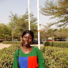 Elizabeth Ojone-Freelancer in Minna,Nigeria