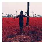 Gandham Jaswanthram-Freelancer in Tanuku,India