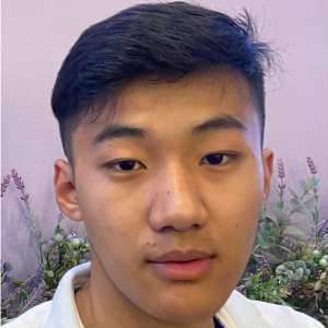 Ntsavamo Kikon-Freelancer in Kohima,India