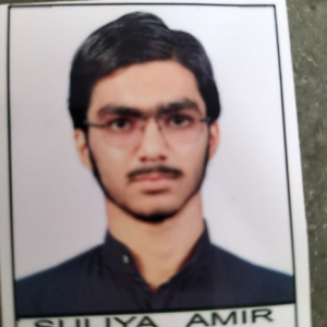 Amir Suliya-Freelancer in Vadodara,India