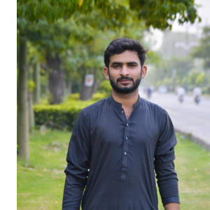 Sameer Ansari-Freelancer in Faisalabad,Pakistan