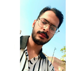 Sahil Modi-Freelancer in Suratgarh,India