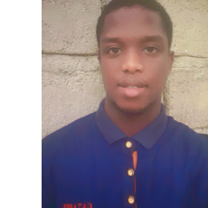 Pierre Mc Athur-Freelancer in Port-au-Prince,Haiti