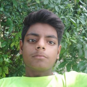 Omji Soni-Freelancer in Lucknow,India