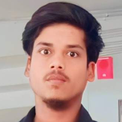 Ritesh Mishra-Freelancer in Lucknow,India