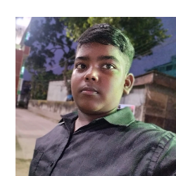 Ayush Biswas-Freelancer in Agartala,India