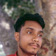 Arghadip De-Freelancer in Durgapur,India