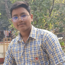 Shubham Raj-Freelancer in Patna,India