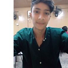 Zayan Ahmed-Freelancer in Karachi,Pakistan