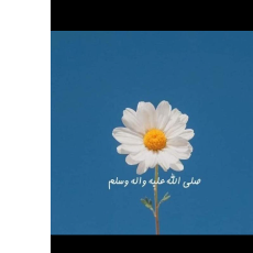 Mahwish Manzoor-Freelancer in Pattoki,Pakistan