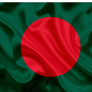 Sabbir Ahmed-Freelancer in Alamdanga,Bangladesh