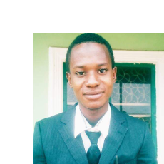 Ibrahim Salisu-Freelancer in Kano,Nigeria