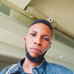 Victor Taiwo-Freelancer in Miami,Nigeria