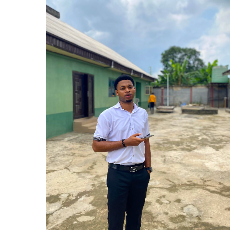Prosper Okorie-Freelancer in Aba,Nigeria