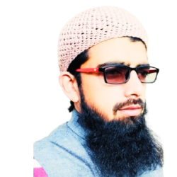Mohd Anjum-Freelancer in Billawar,India