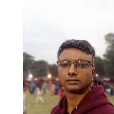 Bishwadeep Mukherjee-Freelancer in Bhatpara,India