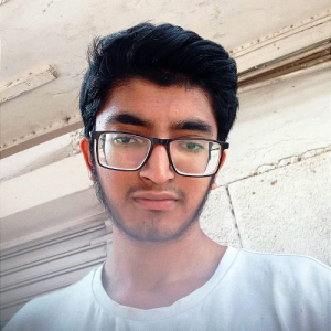 Ayman Mithani-Freelancer in Ahmedabad,India
