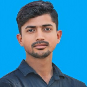 Karamjeet Paswan-Freelancer in Bridgmanganj,India