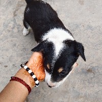Isha Joddar-Freelancer in delhi,India