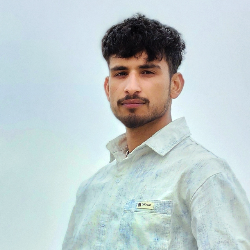 Aasif Hassan-Freelancer in Noida,India