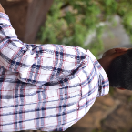 Kunal Kumar-Freelancer in Ranchi,India