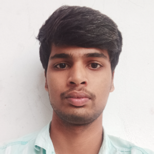 Bhanu Prasad Reddy Shigi-Freelancer in Madanapalle,India