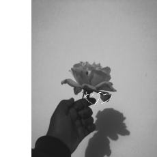 Aqsa Zafar-Freelancer in Kot Addu,Pakistan
