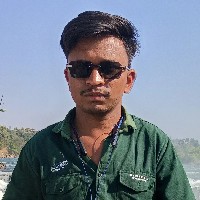 Pavan Kushwaha-Freelancer in Bhopal Division,India