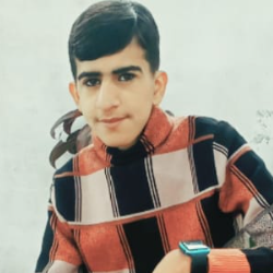 Saif Ali-Freelancer in Jhelum,Pakistan