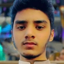 Muhammad Anas-Freelancer in Lahore,Pakistan