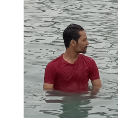 Siddhartha Pandey-Freelancer in Kanpur,India