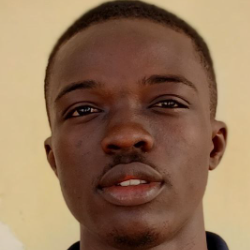 Godfred Kwesi Agyeman-Freelancer in Adenta Municipality,Ghana
