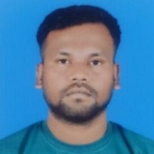 Bhim Kumar-Freelancer in Dhanbad,India