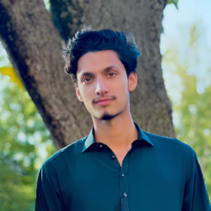 Full stack Web Developer-Freelancer in Abbottabad,Pakistan