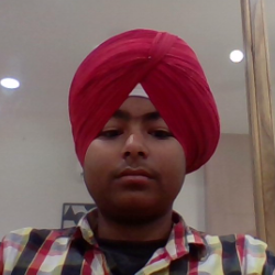 Ramandeepsingh Bhatia-Freelancer in Firozpur,India