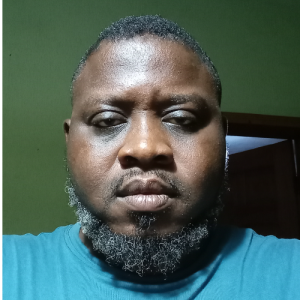 Ayodeji Olaluwoye-Freelancer in Road,Nigeria