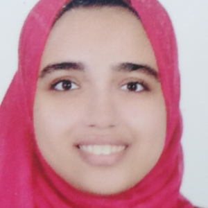 Alaa Mohamed Hamed-Freelancer in Alexandria,Egypt