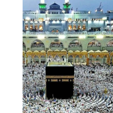 Riaz Ahmed-Freelancer in Hyderabad,Pakistan