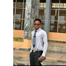 Franklin Chika-Freelancer in Enugu,Nigeria