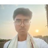 Ayush-Freelancer in Patna,India