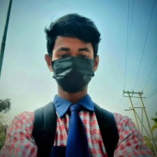 Shubhrajit Das-Freelancer in Kachuchhara,India