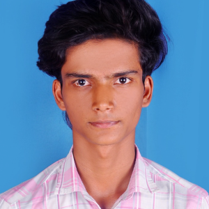 Gavvala Praveenkumar-Freelancer in Kurnool,India