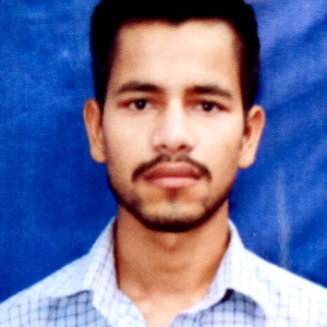 Narendra Singh-Freelancer in ,India