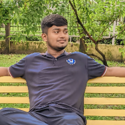 Rounak Prasad-Freelancer in Siliguri,India