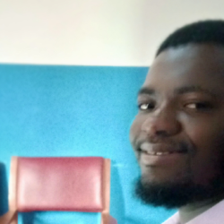 Chinedu Ossai-Freelancer in Ayen,Nigeria