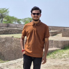 Rudra Patel-Freelancer in Bamanva,India