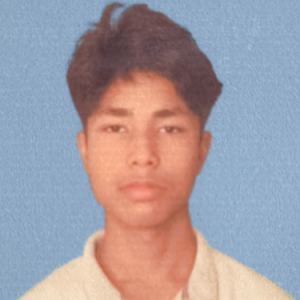 Nishan Boro-Freelancer in Barpeta road,India
