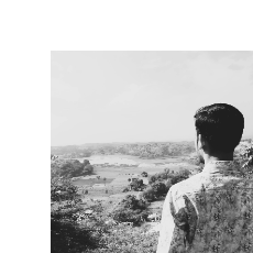 Tiranga Ayurveda-Freelancer in Vadnagar,India