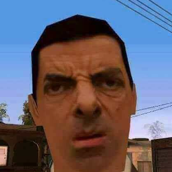 Samir Ansari-Freelancer in Barari Jagdish,India