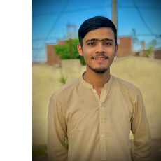 Zain Ali-Freelancer in Pindi Rawan,Pakistan